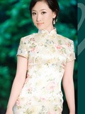 精致中式美图—风定落花香