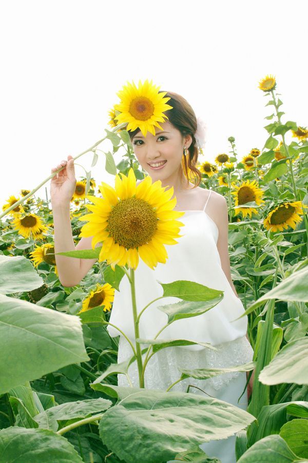 葵花仙子阳光版写真(图2)