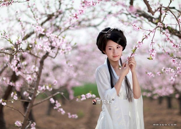 桃花深处惊险美丽娇娘(图9)