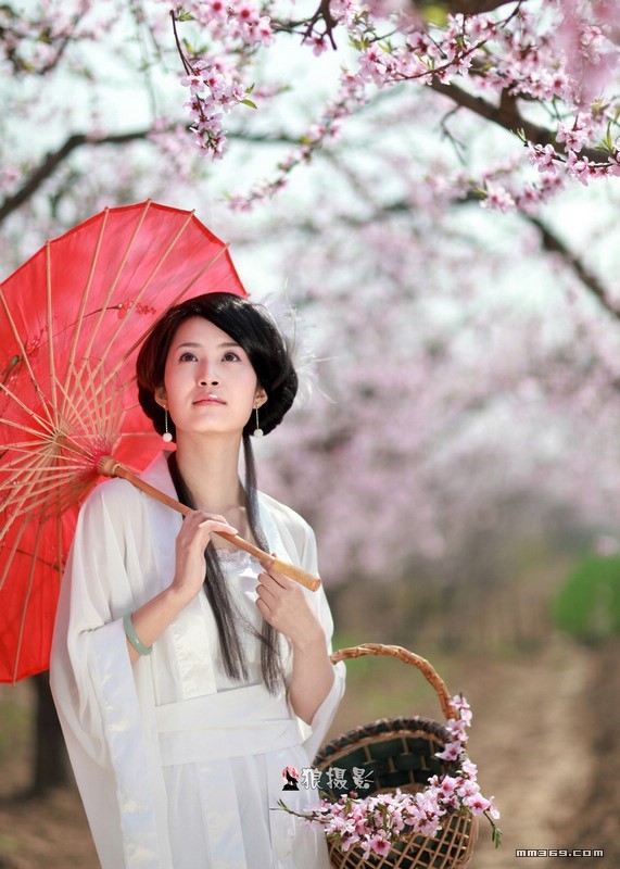 桃花深处惊险美丽娇娘(图3)
