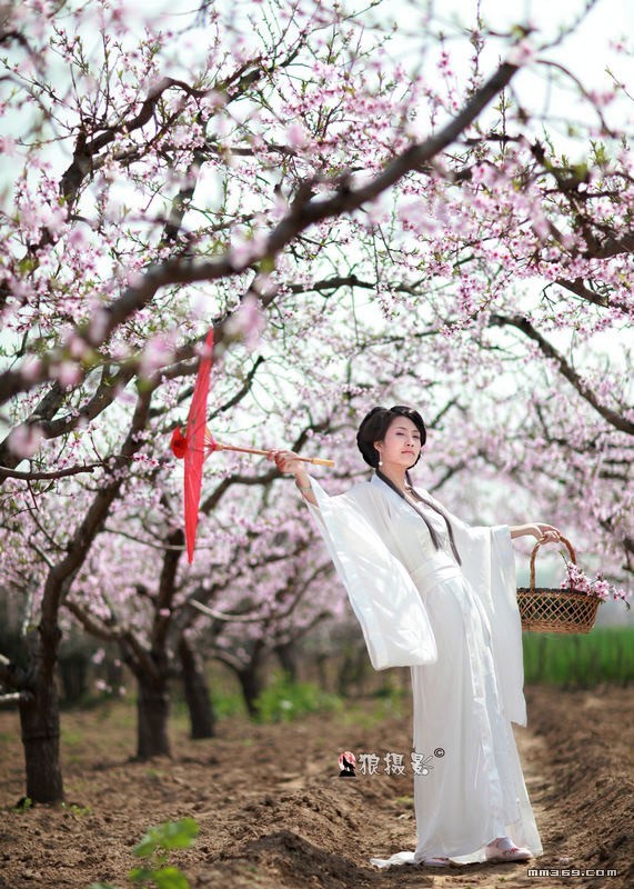 桃花深处惊险美丽娇娘(图4)
