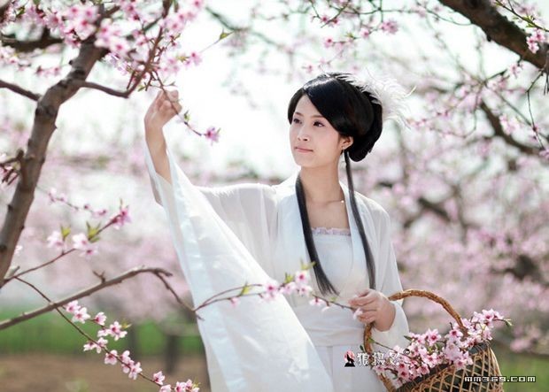 桃花深处惊险美丽娇娘(图6)