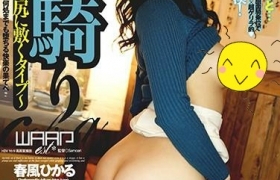 春风光出道至今作品