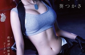 女潜入秘密搜查官系列作品番号以及封面 持续更新