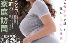 永井玛丽亚出道至今作品番号列表