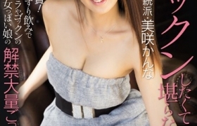 美咲佳奈所有作品番号以及封面列表