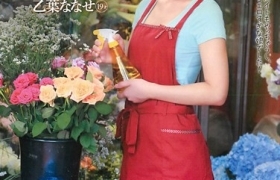 乙叶七濑作品番号全集