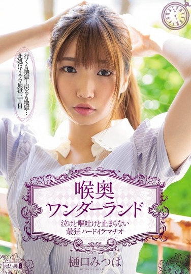 樋口三叶(樋口みつは)出道至今作品