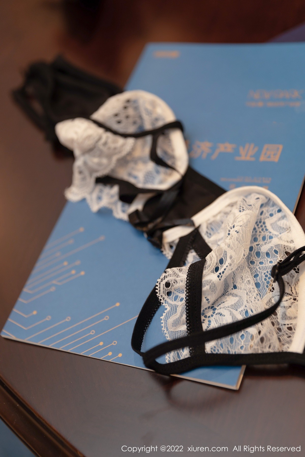 xgyw.top_XiuRen第4775期_女神王雨纯私房浴室性感黑白蕾丝服饰配蕾丝吊袜撩人诱惑写真49P