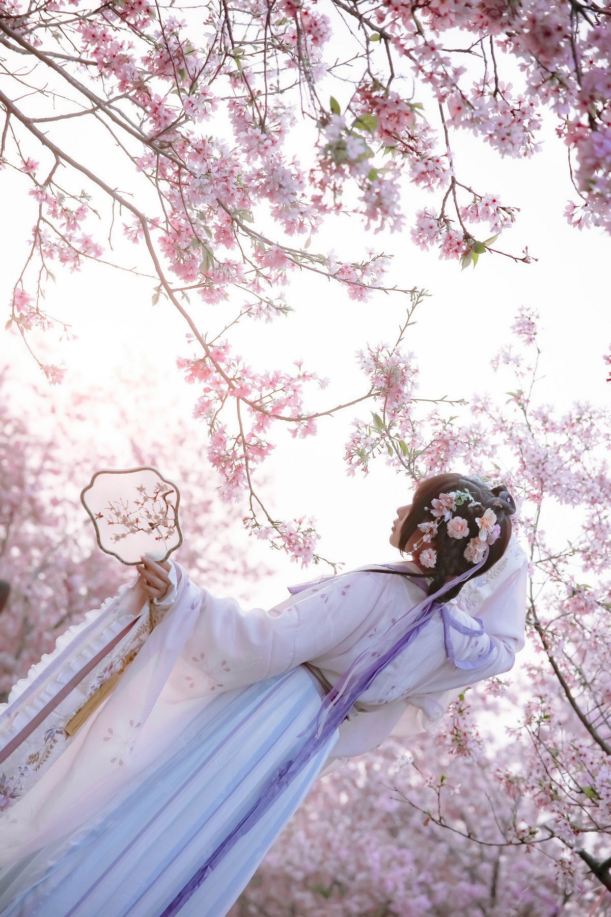 xgyw.top_网络美女Nyako喵子花神祈愿主题户外樱花树下性感古典服饰靓丽迷人写真52P