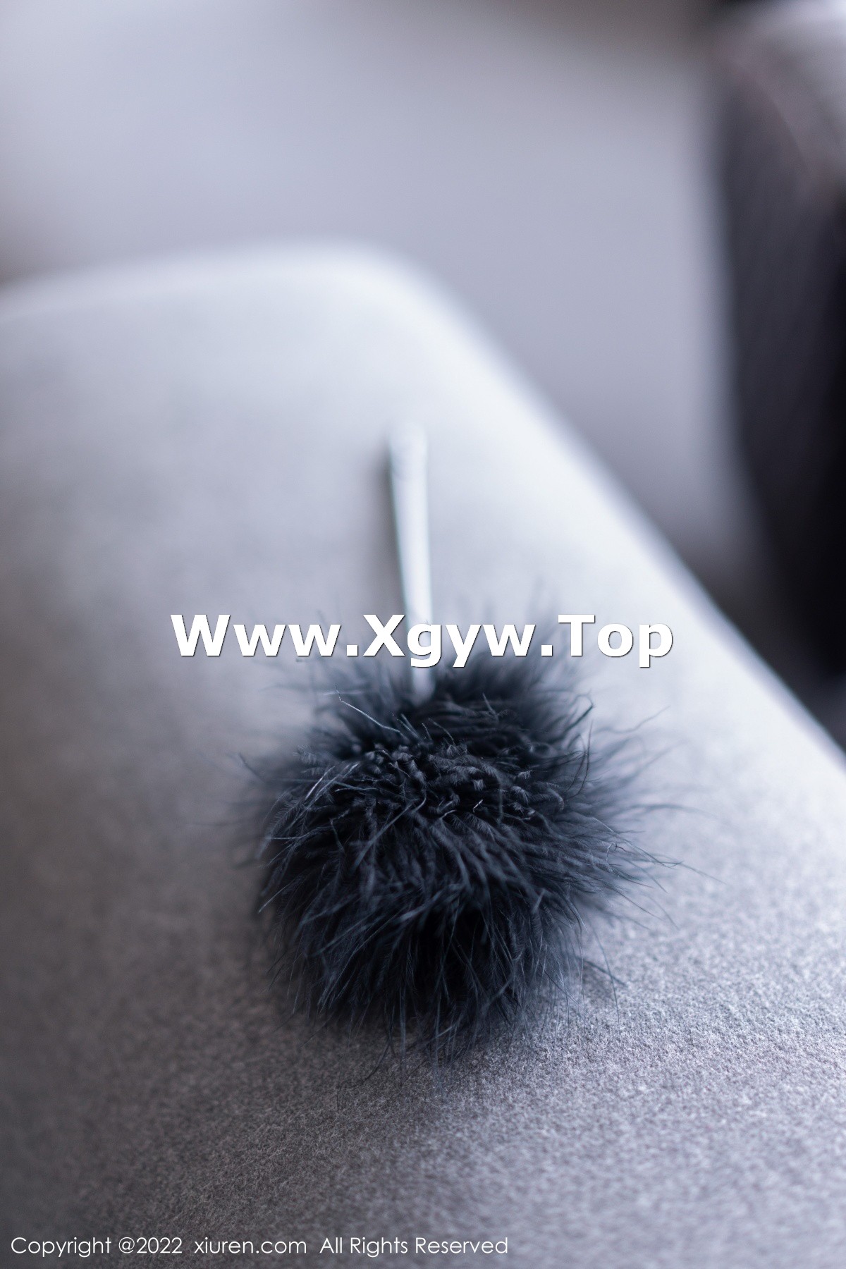 xgyw.top_XiuRen第5795期_模特laura阿姣性感白T配灰短裙露黑色内衣超薄黑丝极致魅惑写真67P