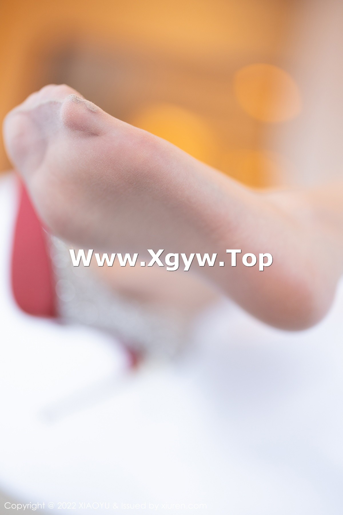 xgyw.top_[XiaoYu画语界]Vol.917_女神杨晨晨Yome脱连衣裙露镶砖情趣内衣配无内肉丝诱惑写真85P